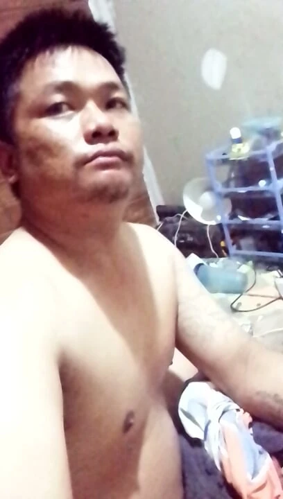 Asian bear