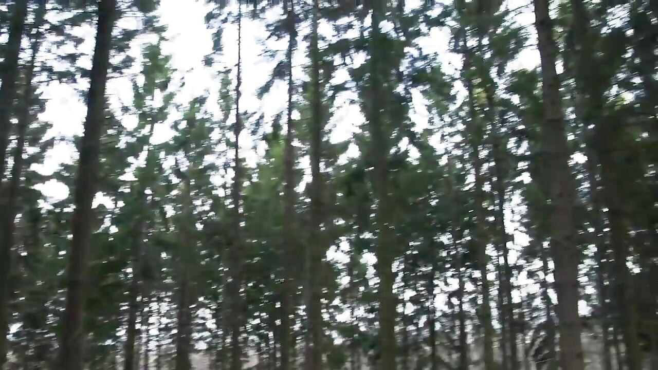 Miért nem próbálja meg?? - (teljes film)