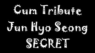 Cum Tribute Jun Hyo Seong SECRET