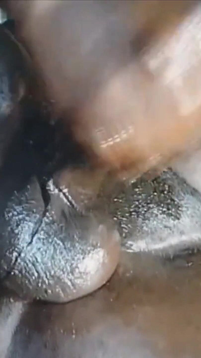 เย็ดควยดําของฉัน – ครางน้ําแตกดังมาก