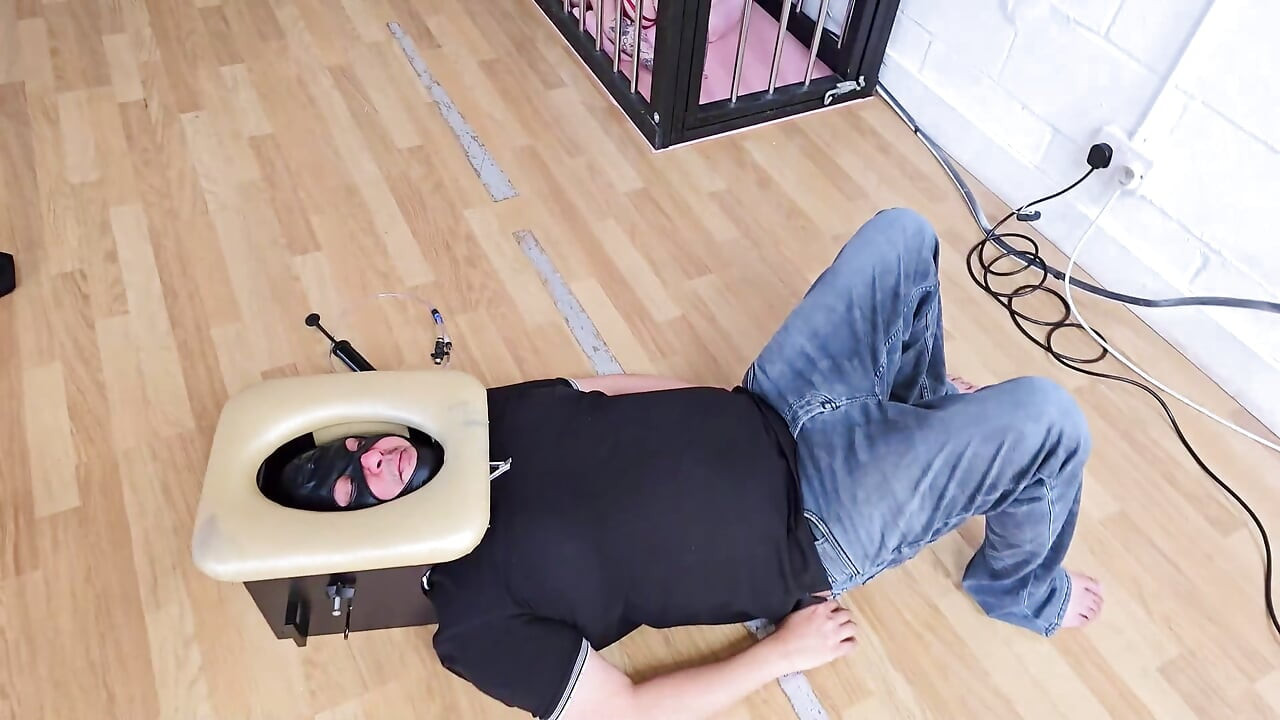 Pet Play and Farts!