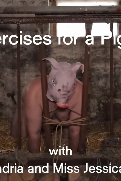 Exercises for a Piggy
