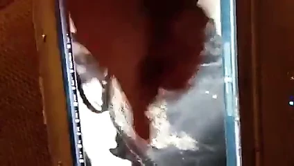 Harika karısı morgane için haraç