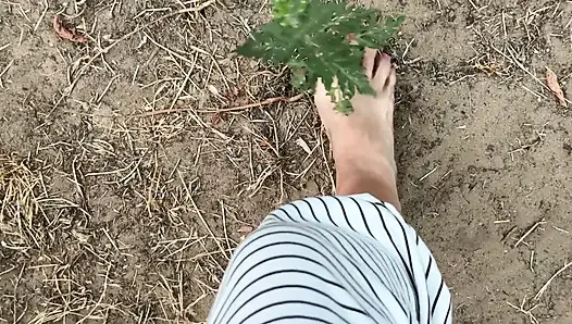 Kaki bejat di taman