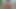 テイラー・アスウィップ・クラシック0790