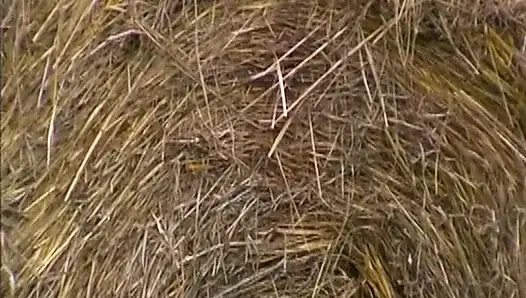 Винтажная Jenna Red Сосет И Скачет На Жестких Членах