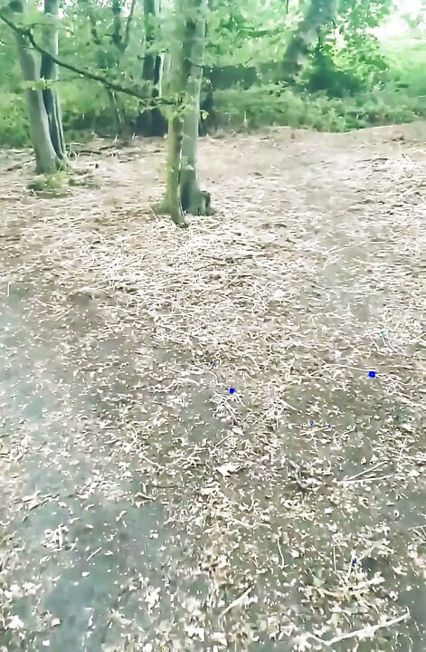 POV Naked Walk in the Woods