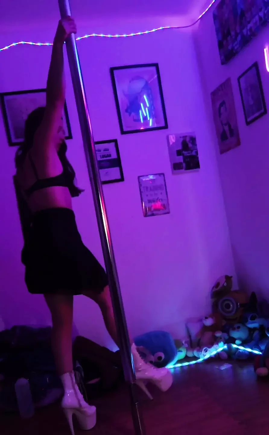 ¿Puedo ser tu stripper?
