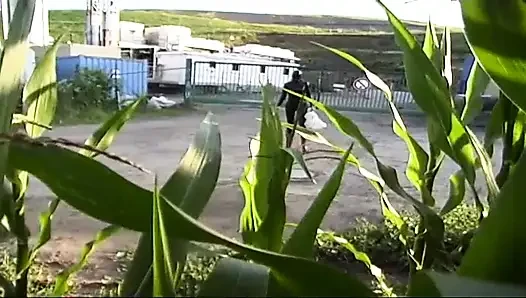 Fetish slave in latex walks and sucks a dildo on the grass
