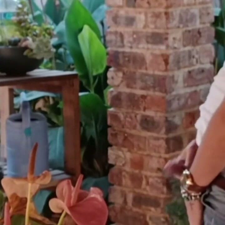 הביביסיטר הפרועה של Bigjoefuckalot