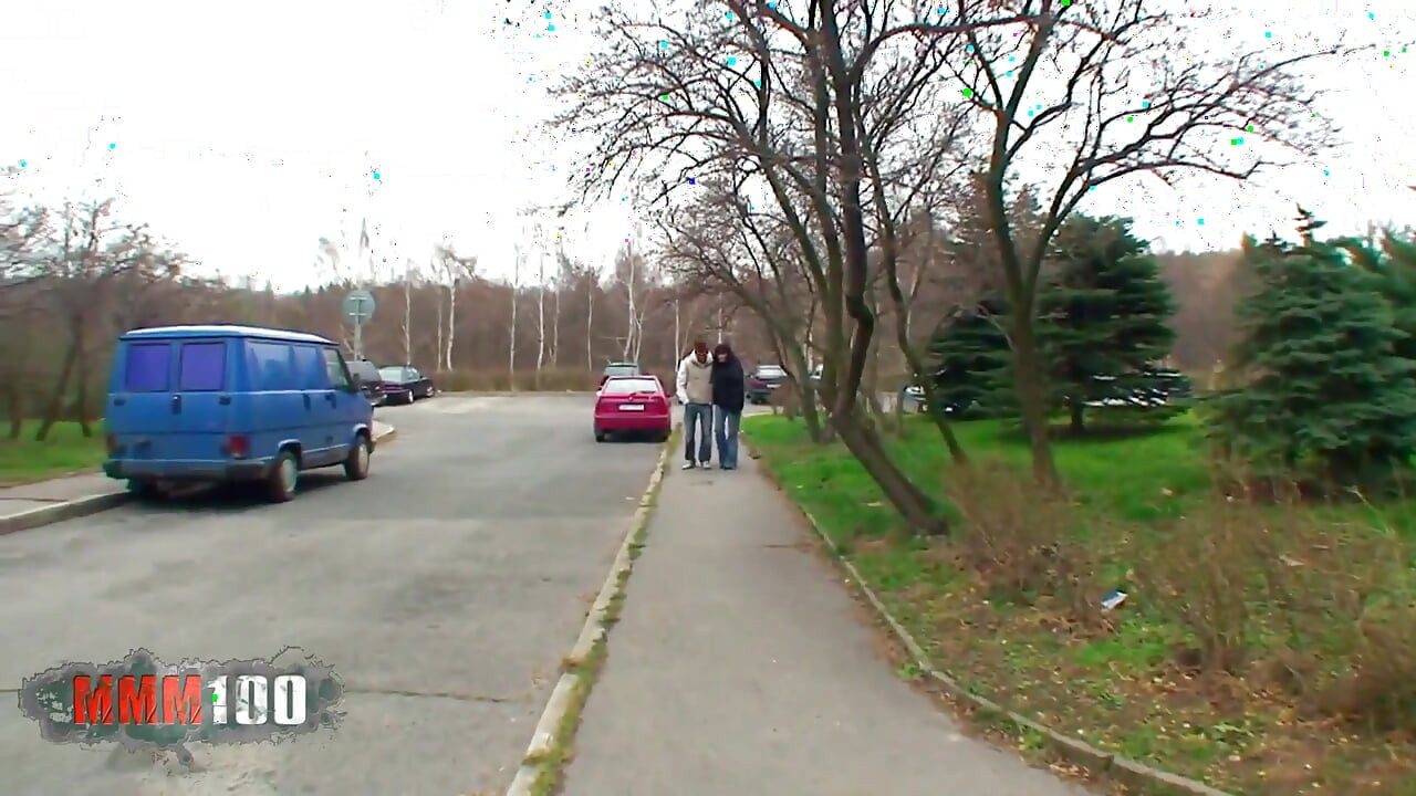 Starije i dlakanije