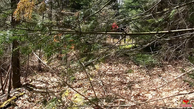 Asian Hunter