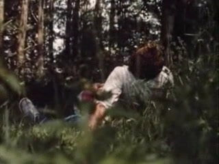 Butterflies 1975