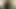 Sarah Gadon - Enemy (2013)