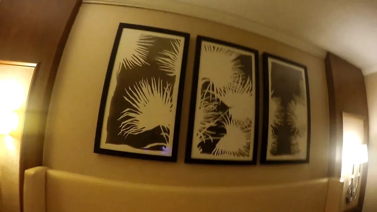Dlakava mlada rumunska žena sa velikim sisama creampie