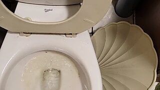 new apartment toilet piss