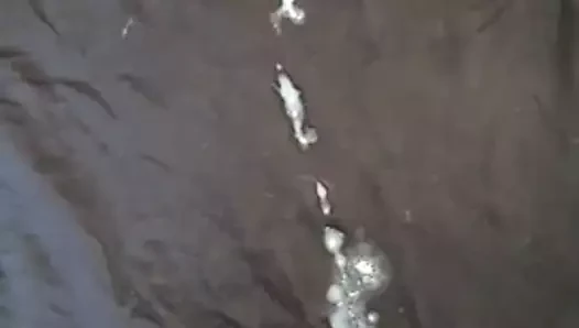 Boşalma