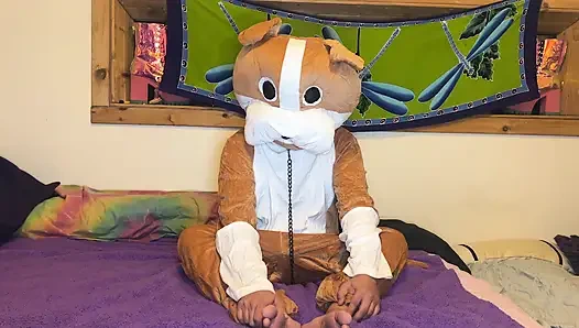 Любовь пушистых - Cliff Media Productions