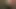 BBC breeding me, using me for free in ZH – whatsapp