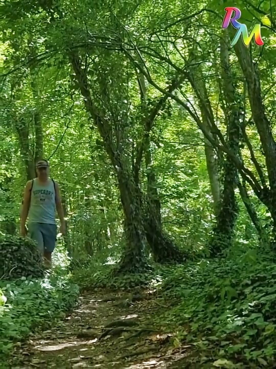 Cruzando a floresta perto da junção da auto-estrada ... Encontrei um lugar silencioso para ficar nua