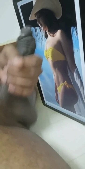 kaira advani 暨致敬