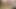 me anal toying big dildo in ass in panties and lingerie