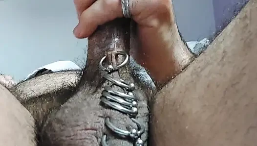 Big Pierced Cock Cum shot with anal play ans scrotal ladder