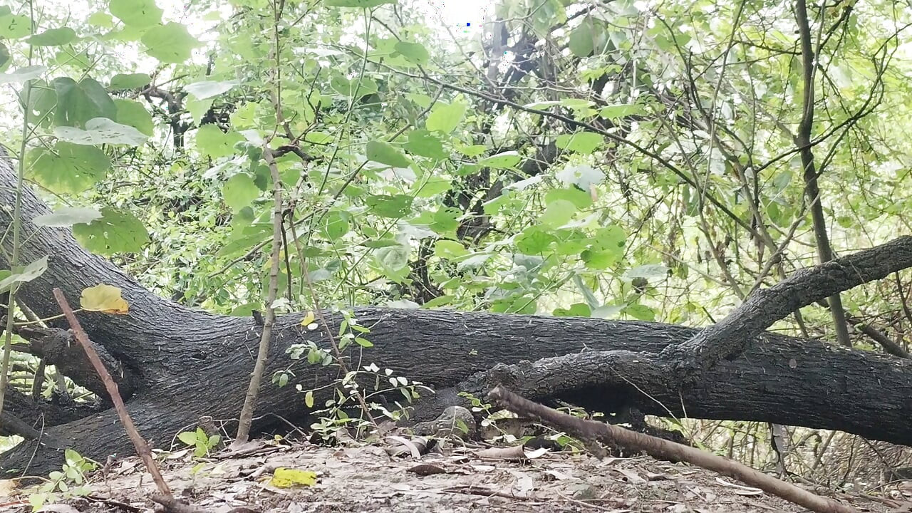 Boy masturbating in the ,forest outside the house Cum spray from cock Desi village boy big black cock video