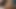 リトルブルー・ナスティは見られるのが大好きです