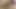 skinny asian ladyboy shemail asshole is waiting for you!