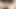 A very close look at my veiny white foreskin