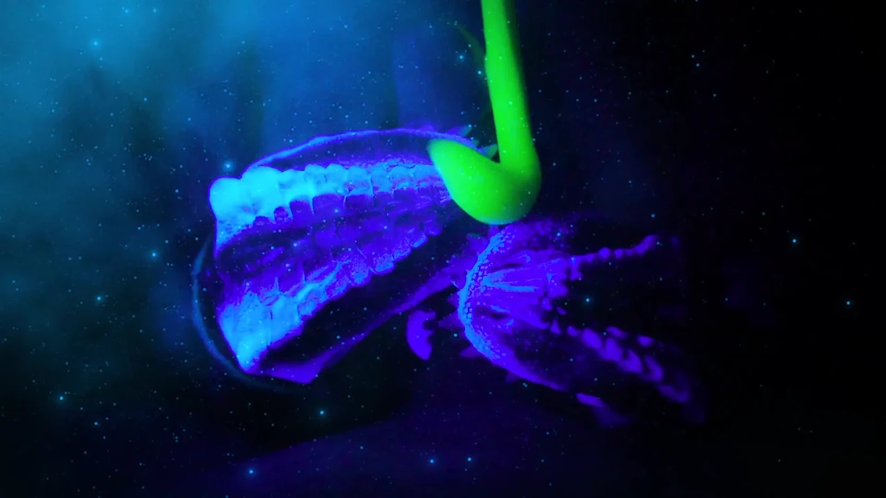 UNSEEN SEX RITUAL FROM ANOTHER DIMENSION! DINOSAURS LICK ON COCK AND MAKE IT CUM!
