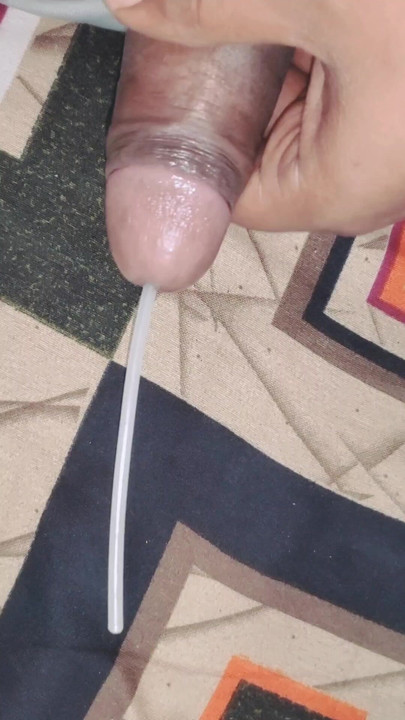 Ladyboy kakas büntetés