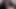 Black fat trans woman suck a black cock and make it cum