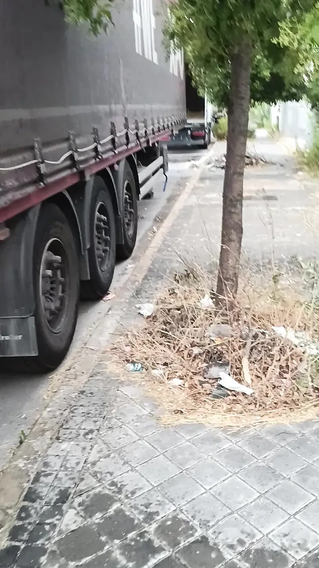 Unacerdaamaricona between trucks in chastity