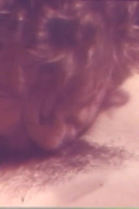 Fuck I Eat Your Cock