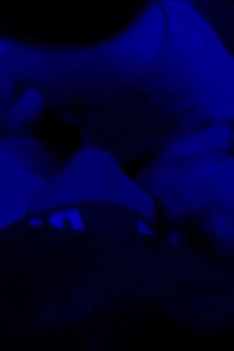 Sucking Moix Big Cock Compilation