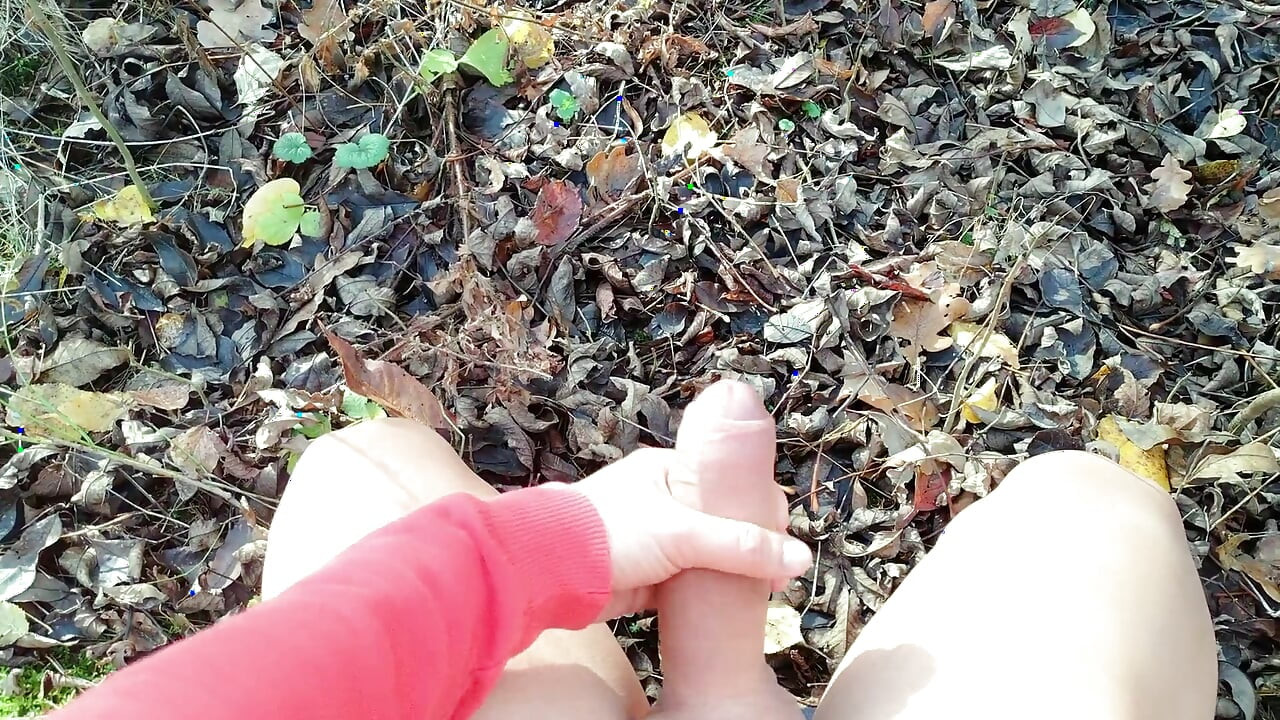 Χύσιμο σε ξερά φύλλα εξωτερικού χώρου ( Φθινόπωρο Εξωτερικό )