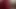 Pakistani Indian bengali slags tiktok