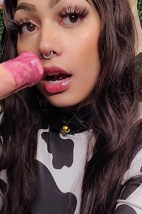 Big Bull Cock
