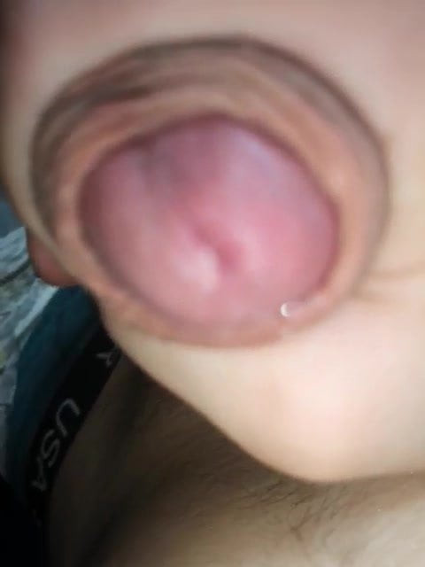 Penis