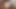 Interracial sex with Holly Wellin a big slut with pussy hair wants to get stuffed by a BBC without a condom