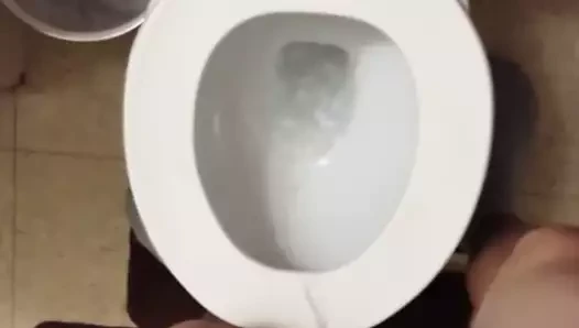 Sarı kase 2