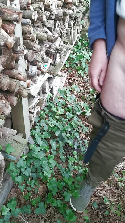 men in the wood