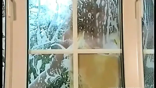 The Window Cleaner