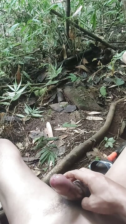 Soksoka in jungle