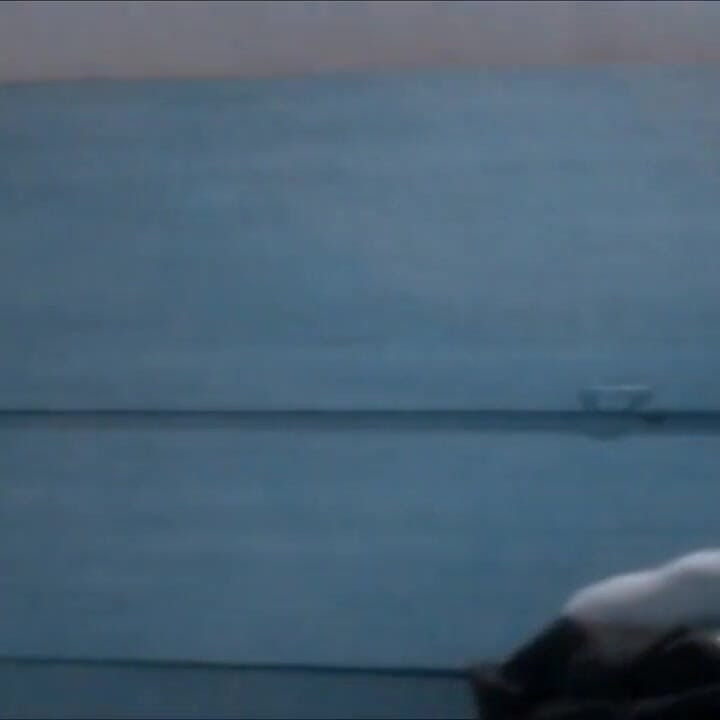 التعري المنزلي