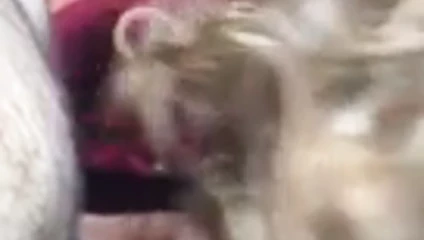 Başka bir açık cd oral seks