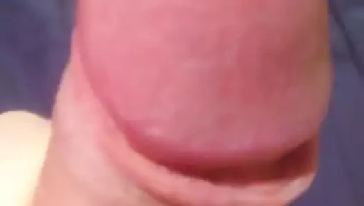 Eichel und Precum