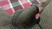 Pratinjau video
